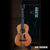 Willie Nelson Signature “Trigger” Acoustic Miniature Guitar Replica Collectible